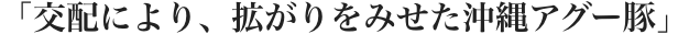 「交配により、拡がりをみせた沖縄アグー豚」